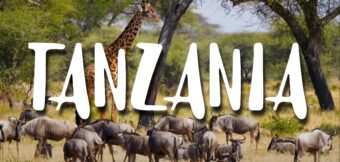 Safari en Tanzanie 🇹🇿 Serengeti – Tarangire – Ngorongoro
